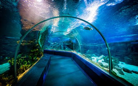 seaworld aquarium